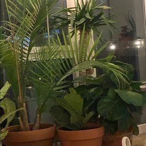 Meet your Posher, Karin